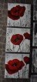/album/les-coquelicots/dsc-0439-jpg/