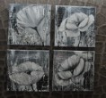/album/les-coquelicots/dsc-0443-jpg/