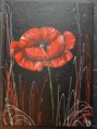 /album/les-coquelicots/dsc-0037-jpg/