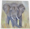 /album/les-animaux/elephant-jpg1/