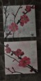 /album/fleurs/dsc-0437-jpg/