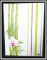 /album/p%c3%a8le-m%c3%aale-photo/orchidee2-jpg/