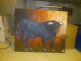 /album/les-animaux/dsc-0185-jpg/