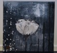 /album/fleurs/dsc-3147-jpg2/