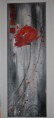 /album/les-coquelicots/dsc-3239-jpg2/