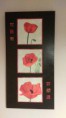 /album/les-coquelicots/imag0360-jpg/