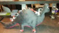 /album/creation-douou/imag1001-jpg1/